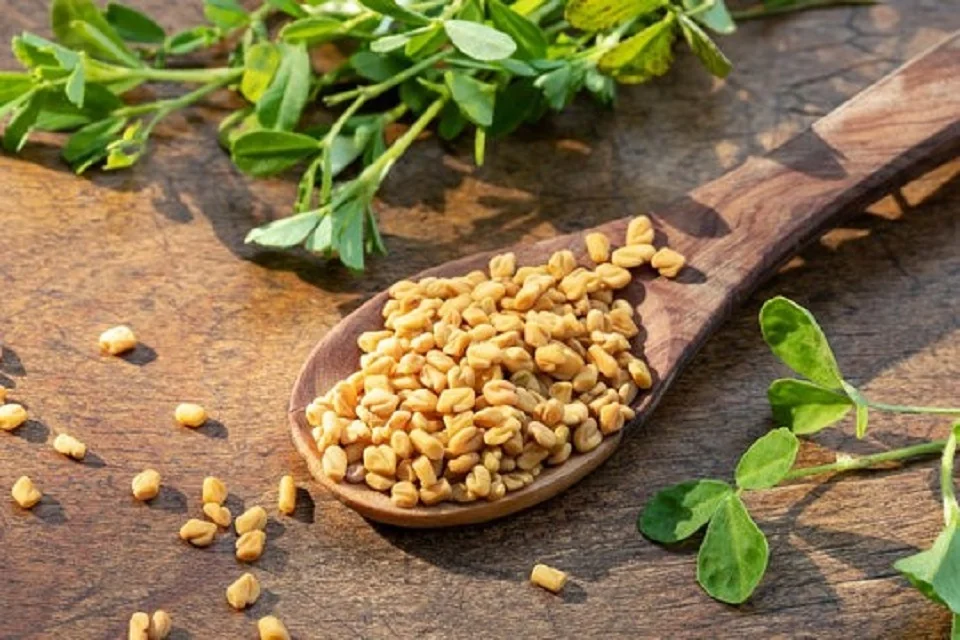 methi seed
